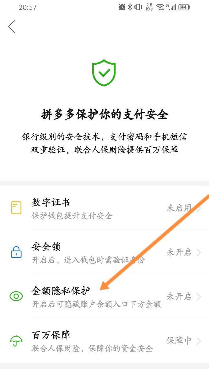 拼多多怎样隐藏钱包余额? 拼多多不显示账户余额的设置方法(拼多多怎样隐藏订单)  第4张