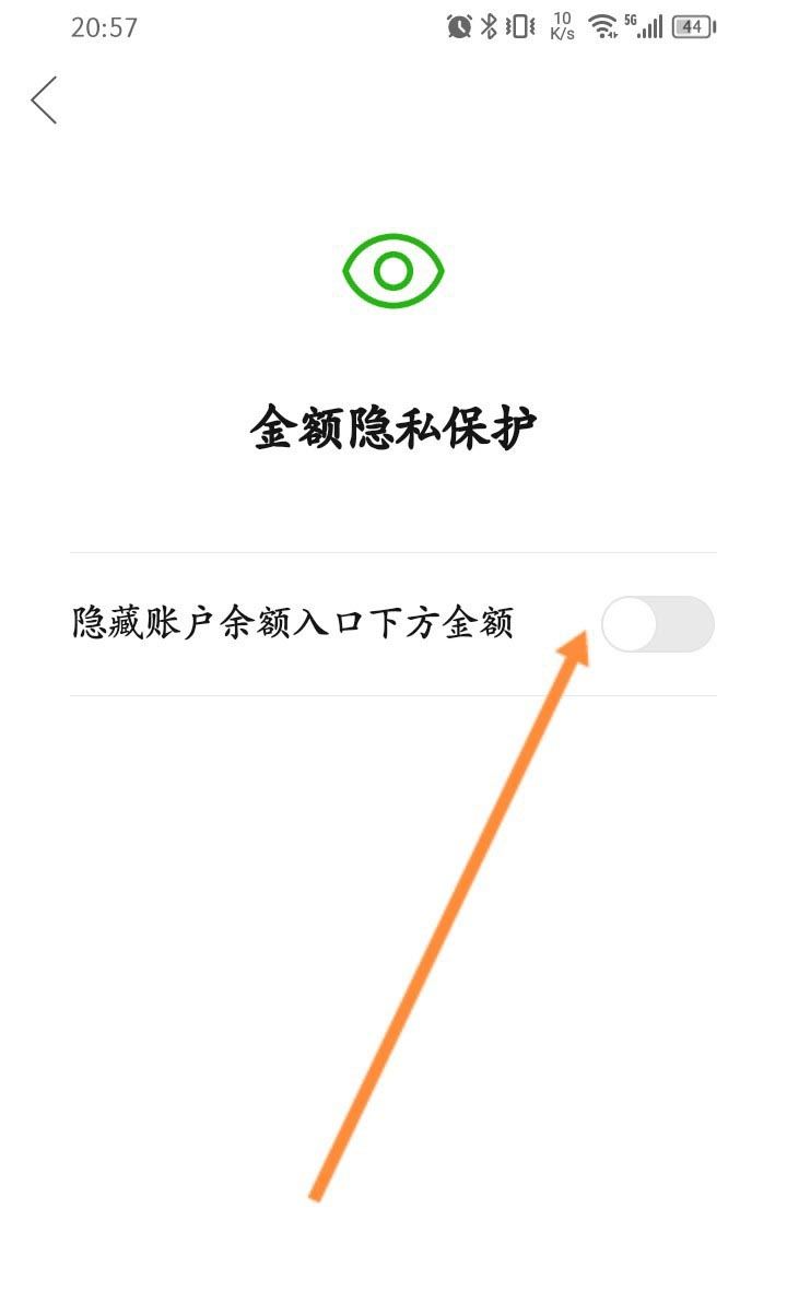 拼多多怎样隐藏钱包余额? 拼多多不显示账户余额的设置方法(拼多多怎样隐藏订单)  第5张