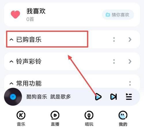 酷狗音乐已购买音乐怎么隐藏? 酷狗音乐隐藏已购买歌曲的技巧(酷狗音乐已购买音乐怎么找到)  第7张