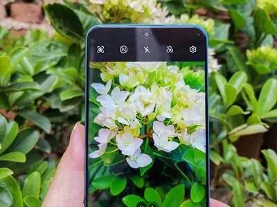 荣耀x50和荣耀x50i哪款好 荣耀x50和荣耀x50i区别介绍(荣耀x50和荣耀x50i对比)