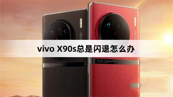 vivo X90s总是闪退怎么办 vivo X90s软件闪退的解决办法(vivo总闪退怎么回事)
