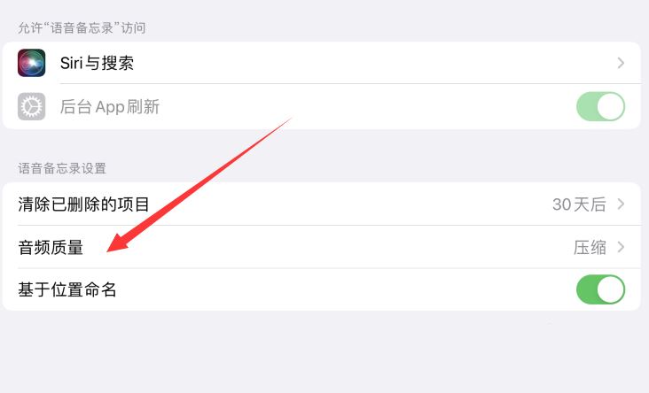 iPad Pro语音备忘录怎么开启无损音质?(ipadpro语音备忘录对着听筒声音才大)  第2张