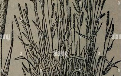 一二三年级劳动绘画（一二三年级劳动绘画A3）
