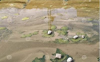 子不语夏达免费阅读（子不语夏达免费阅读）