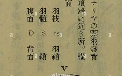 庞羽希钢琴（庞羽希）  第1张