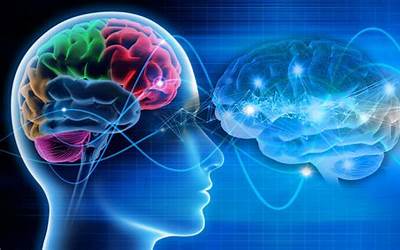 cognition（cog）  第1张