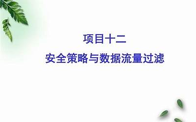 鲁滨逊漂流记读后感ppt（鲁滨逊漂流记 读后感）