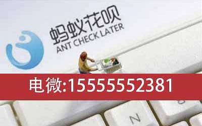 魔域小诸葛是什么骑士（请问小诸葛是谁）