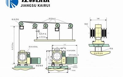 花序类型示意图（花序类型）