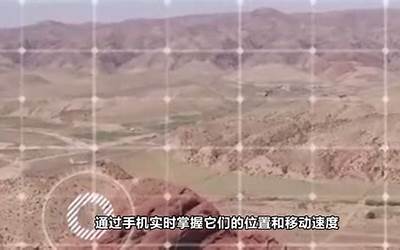 海航系股票一览表（海航系）