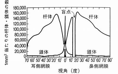 淋巴细胞百分比偏低（淋巴细胞百分比偏低）  第1张