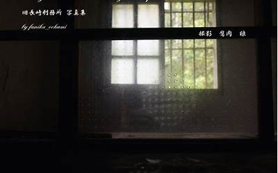 鸿蒙紫影小说（鸿蒙紫影）