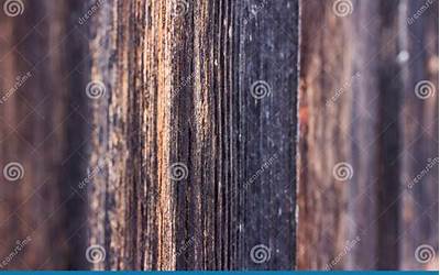 暴走伽刚特尔图片（暴走伽刚特尔）