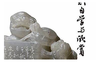 柳州新世纪高中（柳州地区高中）