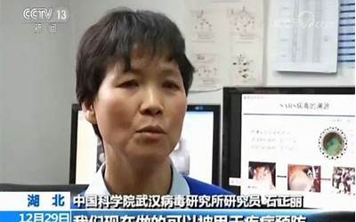 山东省人才管理系统（山东省职业院校教师培训管理系统）  第1张