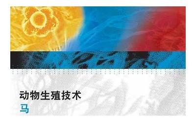 生物钟影响因素（影响生物钟的内分泌物质有哪些）