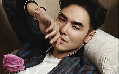 不可抗力之男仆电影2（不可抗力电影完整版）  第1张
