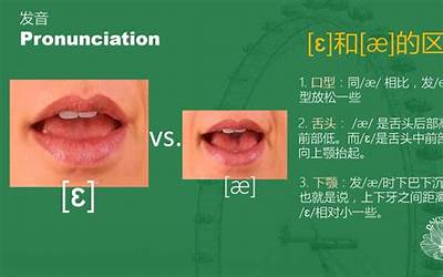 新闻联播后的天气预报视频播放（新闻联播后的天气预报）