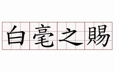 我们终究是错过白小白是什么歌（我们终究是错过白小白）  第1张