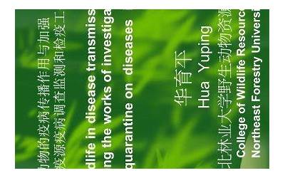 企业文化工作总结怎么写（企业文化工作总结）  第1张