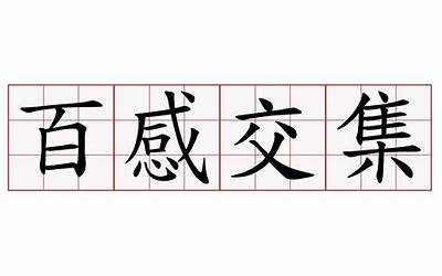 石家庄铁道学院专科录取线（石家庄铁道学院专科）