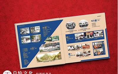 尼日尔要求美国驻尼大使在48小时内离境