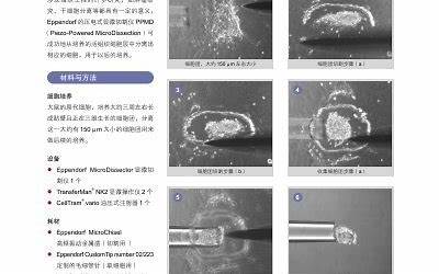 植物医生加盟费多少钱（植物医生加盟费多少）  第1张