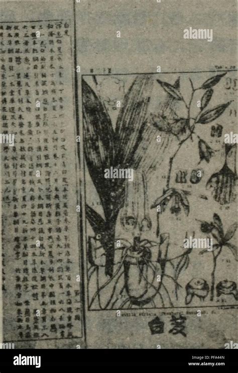 上半年提前还贷潮影响究竟多大？建行交行招行房贷余额目前缩减最多，农商行暂时“全军覆没”|透视银行半年报