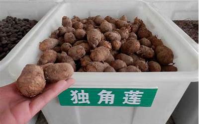 草绿色的图片（草绿色cmyk）