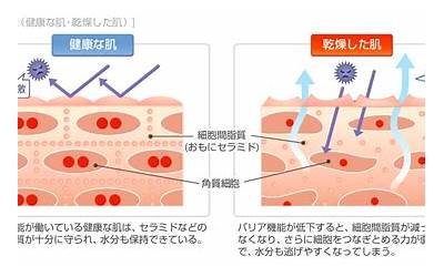 牧原股份：8月生猪销售收入108.07亿元