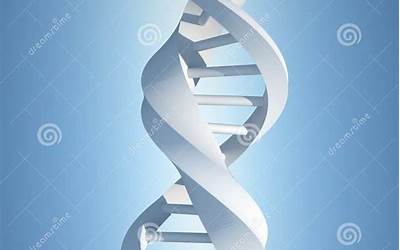 BC电池与TOPCon引发分歧：谁是最终赢家？这些光伏龙头这样看  第1张