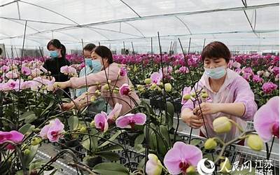 深圳：局部地区24小时雨量或突破500毫米