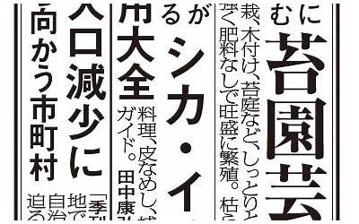 芬恩拉塞尔将带领苏格兰对阵跳羚队