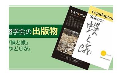 失恋听的歌2022（失恋听的歌）