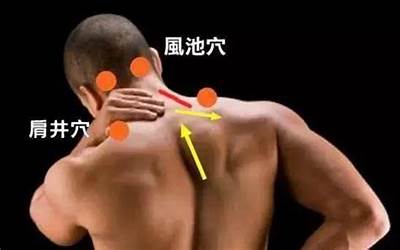 4.2米货车拉货价目表（货车运输价格表）  第1张