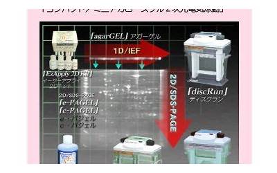 泓博医药：公司团队具备液相多肽合成及固相多肽合成能力  第1张