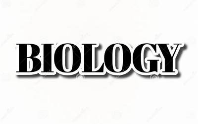 养老金个人与单位缴存比例（缴存比例）