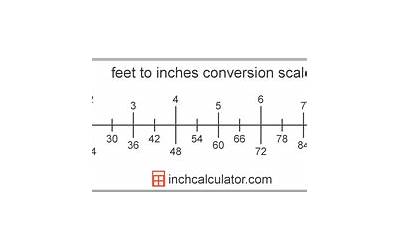 feet和inch（feet）  第1张