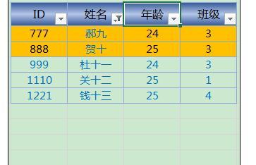 Excel2013中进行颜色筛选的操作方法  第10张