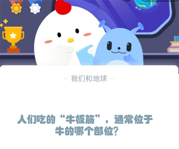 人们吃的“牛板筋”，通常位于牛的哪个部位？蚂蚁庄园12.5日答案  第1张