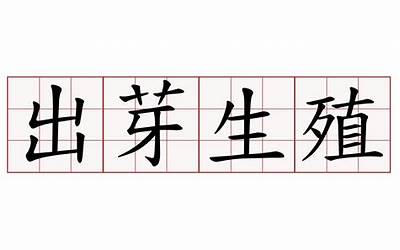telegrm如何清除缓存(telegrm安卓手机能用吗)