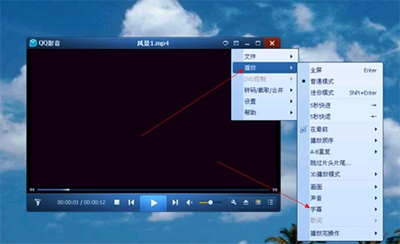 QQ影音视频怎么添加字幕?  第3张