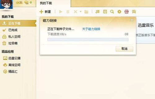 迅雷无法下载磁力链接怎么办
