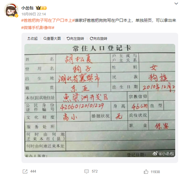 爸爸把狗子写在了户口本上引热议 官方：情节严重需承担法律责任  第2张