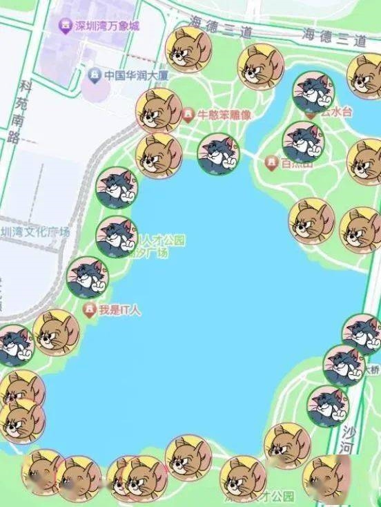 年轻人玩“躲猫猫”有多野 把地图App都干懵了  第3张