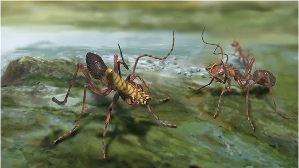1亿年前蚂蚁捕猎过程被复原：一对大牙非常凶猛