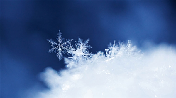 黑龙江局地将降大暴雪：此次过程影响范围广