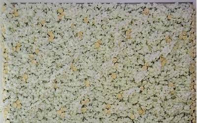 苹果12的价格,苹果12价格曝光，新品贵过老款