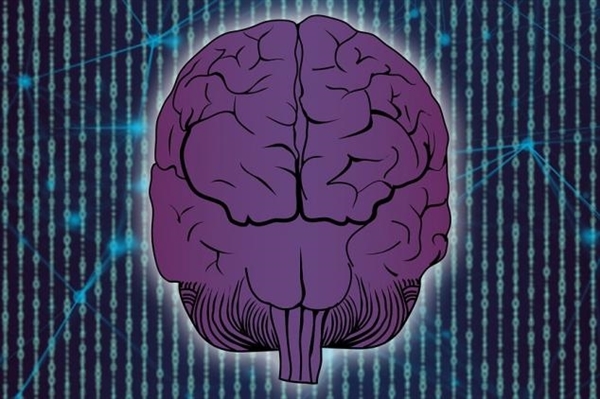im token钱包官网:马斯克的脑机人体试验揭秘：手术花费超7万元  第2张