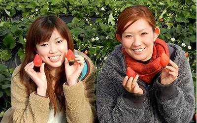 苹果11跟12哪个好,苹果11与12比较，哪个更优秀？
